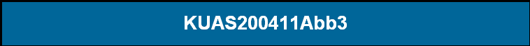 KUAS200411Abb3